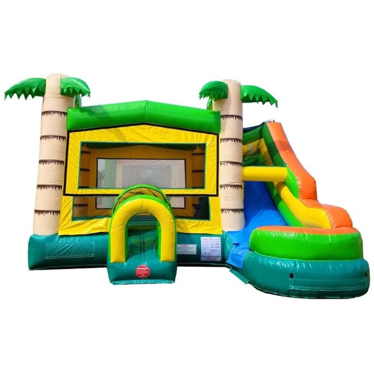 Bounce House With Slide Rentals